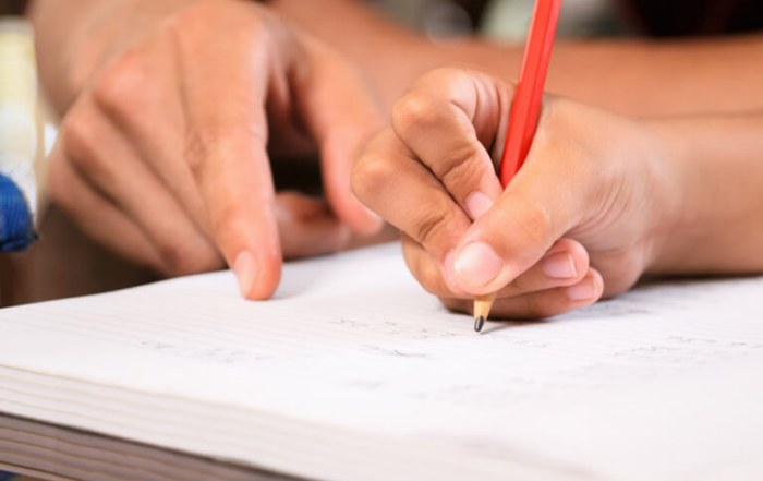 Child working with a tutor
