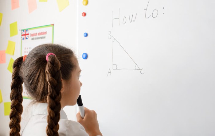 Pythagorean Theorem Day 7 Fun Classroom Ideas